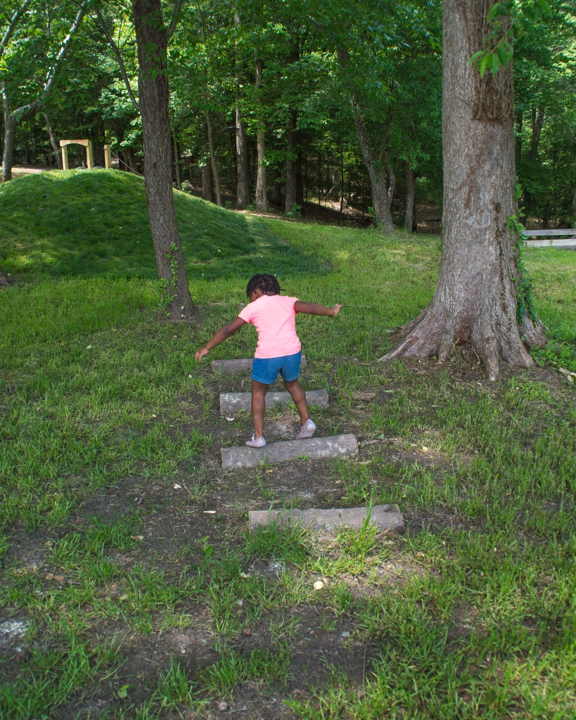 Maxine is walking across small logs in the ground. The background is green and trees